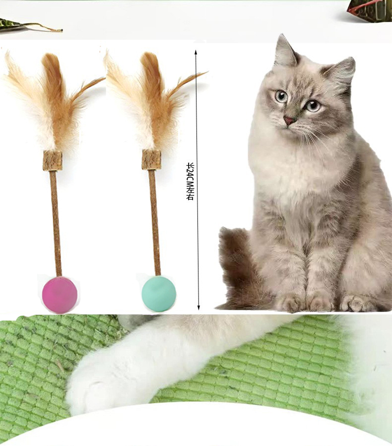 Nanjing Qiniu Cat Teaser – A Joyful Treasure for Cats Nanjing Qiniu Cat Teaser – A Joyful Treasure for Cats