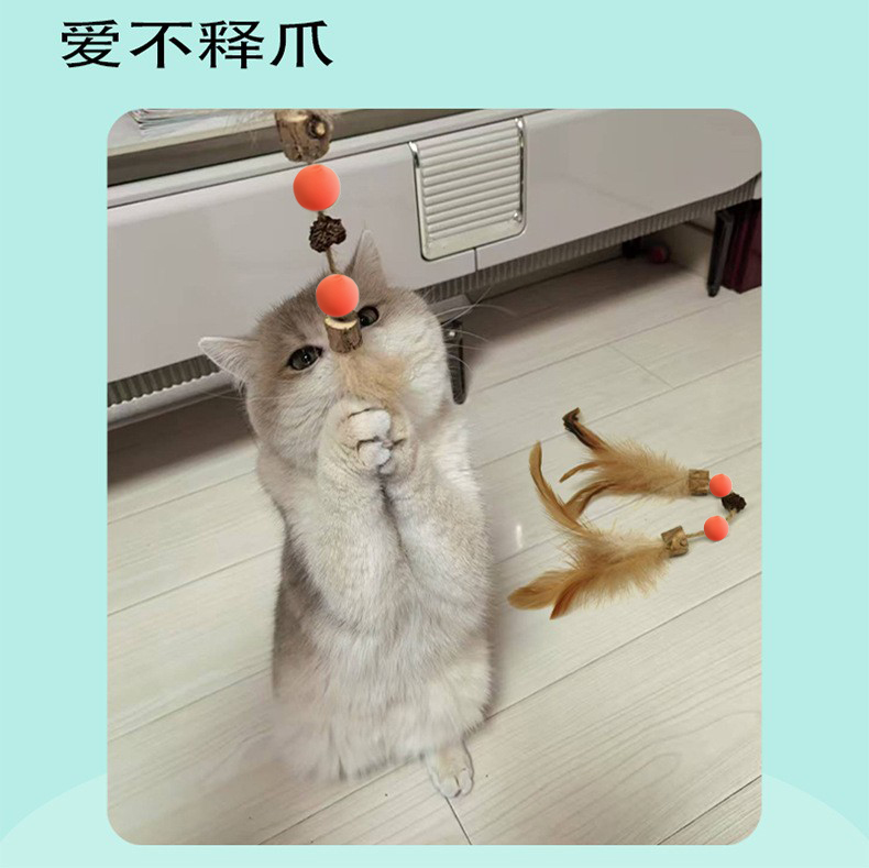 Nanjing Qiniu Cat Teaser – A Joyful Treasure for Cats Nanjing Qiniu Cat Teaser – A Joyful Treasure for Cats