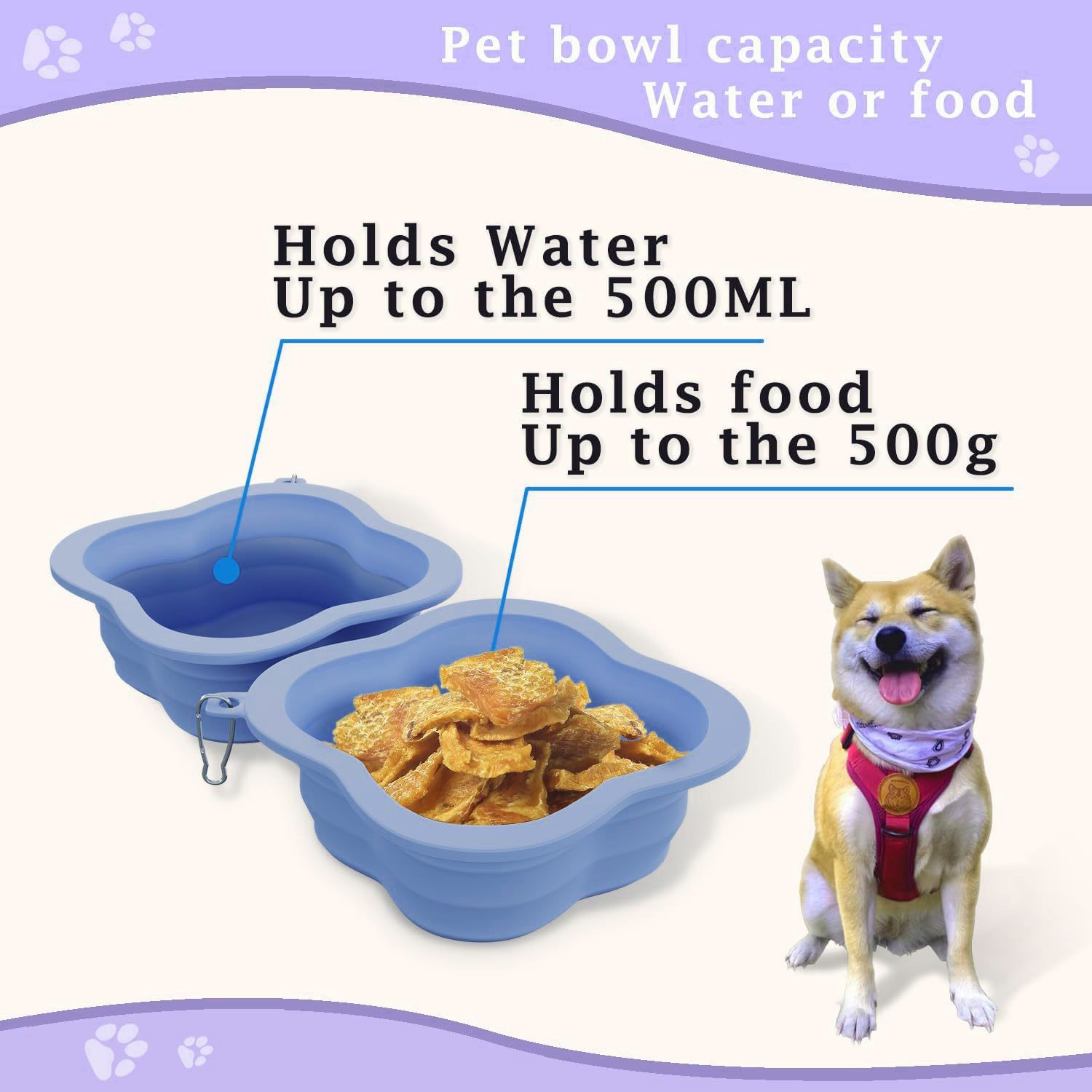 Pet Bowl 