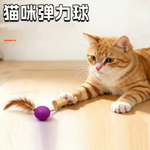 Cat Self-Play Toys Set: Colorful Latex Bouncy Balls & Silicone Ribbon Toys for Kittens | Factory Direct