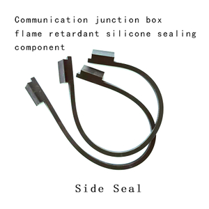 Side Seal