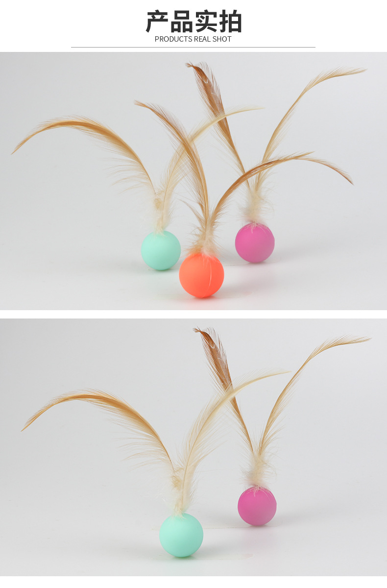 Pet Elastic Ball