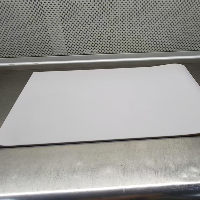 Pet placemat Dog and cat placemat silicone cat litter mat Eating cat food mat Cat food mat pet foot mat Cat bowl mat