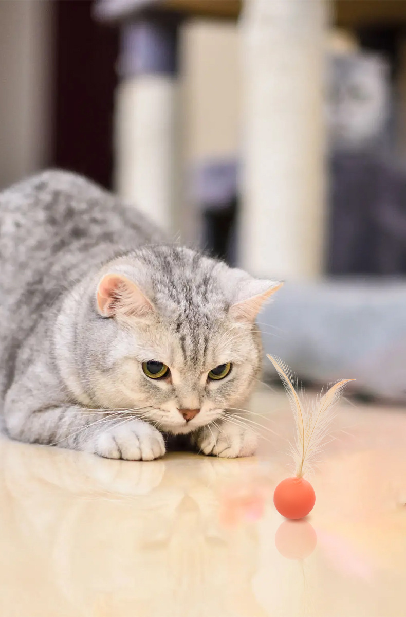 Pet Elastic Ball