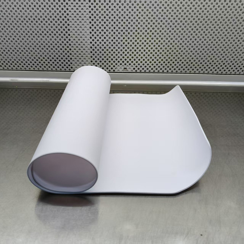 Pet placemat Dog and cat placemat silicone cat litter mat Eating cat food mat Cat food mat pet foot mat Cat bowl mat